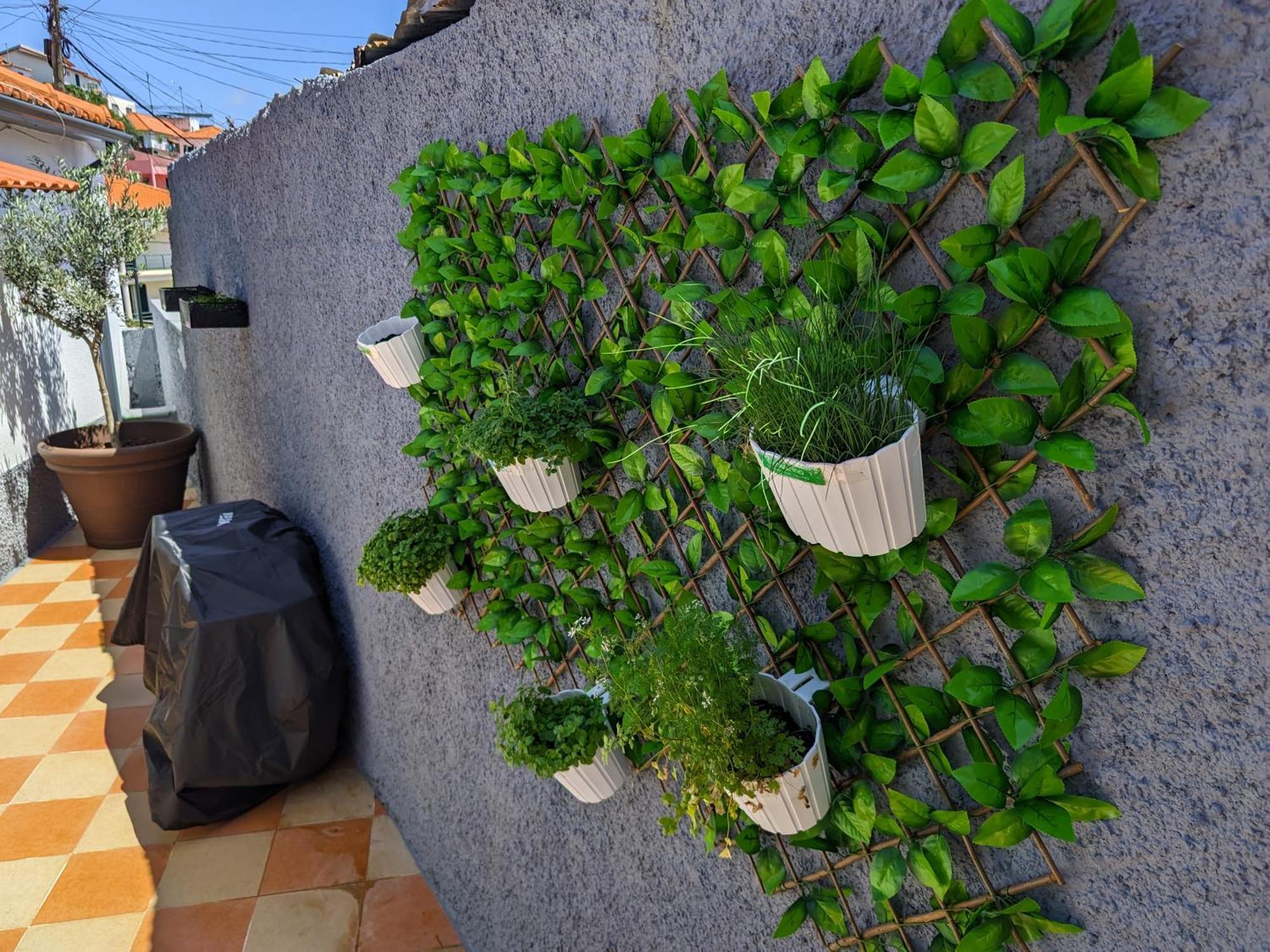 Casa Ascencao, Vista Mar Madeira Villa Funchal  Eksteriør billede